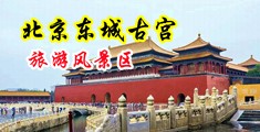 美女操逼双飞中国北京-东城古宫旅游风景区